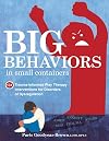 Big Behaviors in Small Containers: 131 Trauma-Informed Play Therapy Interventions for Disorders of Dysregulation