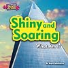 Shiny and soaring : what am I?