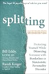 Splitting: Protecting Yourself While Divorcing Someone with Borderline or Narcissistic Personality Disorder