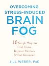 Overcoming Stress-Induced Brain Fog: 10 Simple Ways to Find Focus, Improve Memory, and Feel Grounded