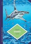 The Little Book of Knowledge: Sharks