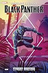 Marvel Action: Black Panther: Stormy Weather (Book One)