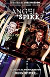 Angel & Spike Volume 1 (3)