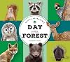 Animal Adventures: Day in the Forest