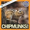 Chipmunks!: A My Incredible World Picture Book for Children (My Incredible World: Nature and Animal Picture Books for Children)