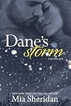 Dane's Storm