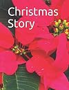 Christmas Story: Senior reader study bible readings in extra-large print for memory care