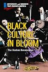 Black Culture in Bloom: The Harlem Renaissance (Movements and Moments That Changed America)