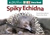 Spiky Echidna