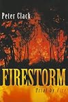 Firestorm: Trial by Fire