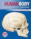 The Human Body Identification Manual: Your Body and How It Works