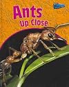Ants Up Close (Raintree Perspectives: Minibeasts Up Close)