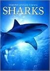 Sharks (Snapshot Picture Library Series)