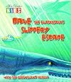 Dave the elasmosaur's slippery escape