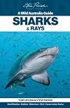 Sharks and Rays