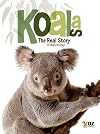 Koalas : the real story