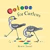 Colour for Curlews