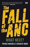 The fall of the ANC: What next?