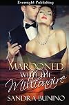 Marooned with the Millionaire