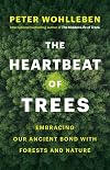 The Heartbeat of Trees: Embracing Our Ancient Bond with Forests and Nature