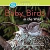Baby Birds in the Wild (Kids' Own Nature Book)