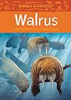 Walrus
