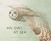 An Owl at Sea