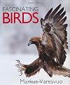 Fascinating Birds