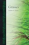 Grasses (Botanical)