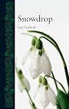 Snowdrop (Botanical)