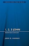 1, 2, 3 John: Redemption’s Certainty (Focus on the Bible)