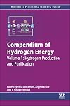 Compendium of hydrogen energy. Volume 1, Hydrogen production and purification