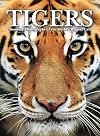 Tigers