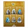 Phonic Books Titan's Gauntlets: Decodable Books for Older Readers (Alternative Vowel and Consonant Sounds, Common Latin Suffixes) (Phonic Books Catch-Up Decodable Readers)