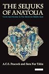 The Seljuks of Anatolia: Court and Society in the Medieval Middle East
