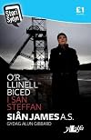 O'r llinell biced i San Steffan
