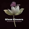 Glass Flowers: Marvels of Art and Science at Harvard