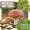 Mushrooms & Fungi (Forest Explorer)