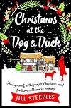 Winter at the Dog & Duck