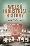 New Perspectives on Welsh Industrial History