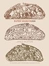 Super Sourdough: The Foolproof Guide to Making World-Class Bread at Home