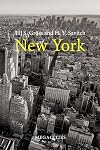 New York (Megacities)