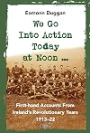 We Go Into Action Today at Noon ...: First-hand Accounts from Ireland’s Revolutionary Years, 1913–22
