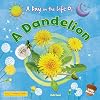 A Dandelion (A Day in the Life Of)