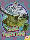 Sea turtles