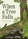 When a Tree Falls: Nurse Logs and Their Incredible Forest Power