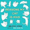 Reasons My Cat Is Mad