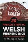 20 Radical Steps to Welsh Independence: ...by first decolonising our minds