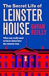 The Secret Life of Leinster House: What You Really Need to Know About How the Country Is Run