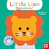 Baby Faces: Little Lion, Where Are You?